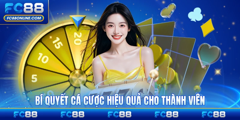 Bí quyết cá cược hiệu quả cho thành viên tới chơi sảnh vip