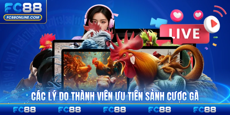 Các lý do thành viên ưu tiên sảnh cược gà FC88 đáng tin