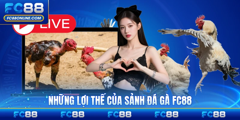 Những lợi thế của sảnh đá gà FC88 với thành viên nổi bật