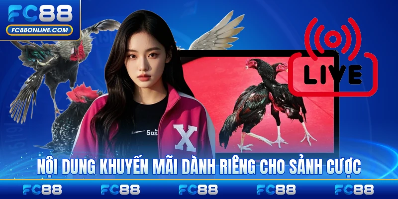Nội dung khuyến mãi dành riêng cho sảnh cược gà FC88 chi tiết